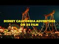 35mm Film Disney California Adventure Kodak Gold 200 Cinestill 800
