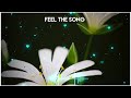 Live Kaun Tujhe Yun Pyar Karega Instrumental Ringtone M S DHONI Viral Ringtone Insrumental