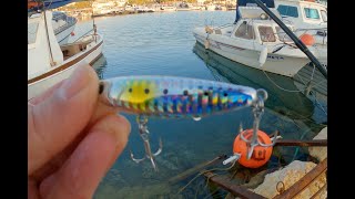 Topwater Seabass Lure : IMA Pugachev's Cobra 60 Swimming Action