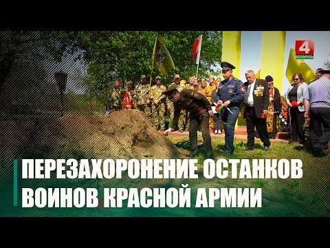Останки 19 красноармейцев, погибших в годы Великой Отечественной войны перезахоронили под Брагином видео