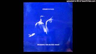 Eyeless in Gaza "Picture the Day" (1982)