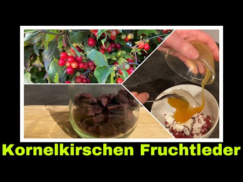 Kornelkirschen Fruchtleder selber machen | Selbstversorgung: Süßigkeiten