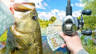 Fishing A LOCAL Bass Tournament SOLO - Did I Win?