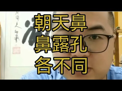 露鼻孔面相