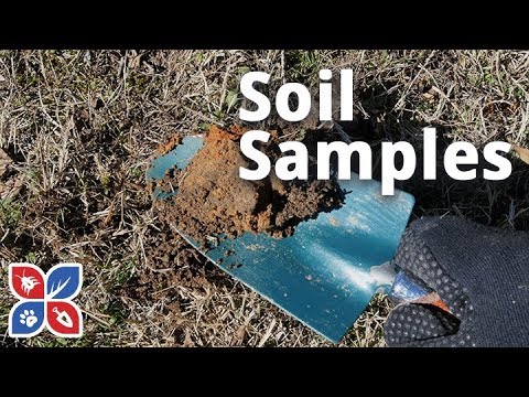  Do My Own Lawn Care - Soil Samples Video 