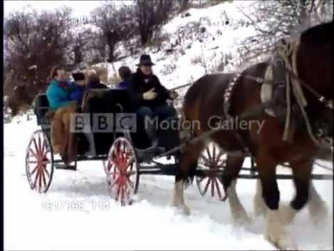 download lagu mp3 mp4 Jingle Bells Horse Name, download lagu Jingle Bells Horse Name gratis, unduh video klip Jingle Bells Horse Name
