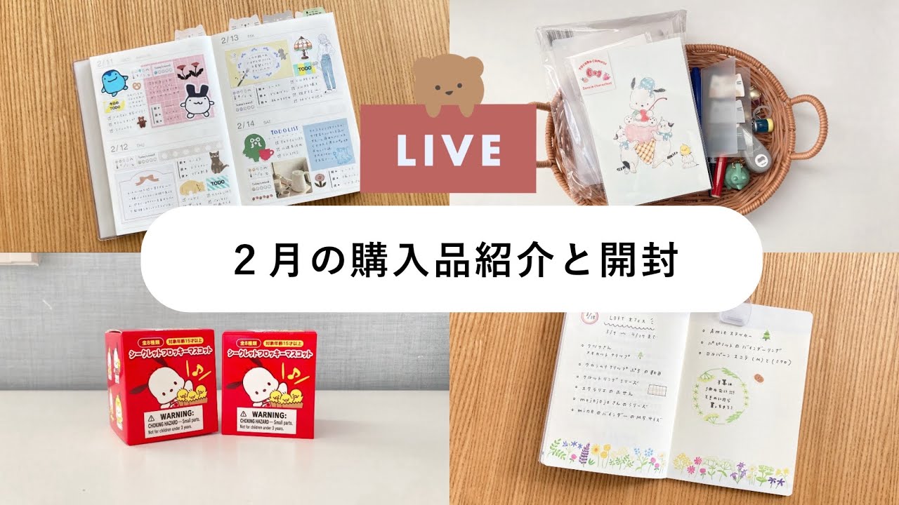 【LIVE🪐】２月の購入品紹介｜ポチャッコ開封🍌｜ロフト文フェスの計画！