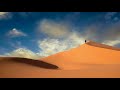 Musafir-Vital Signs