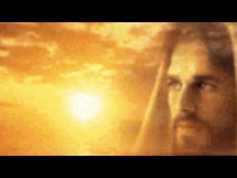 376 - VAMOS TODOS TRABALHAR