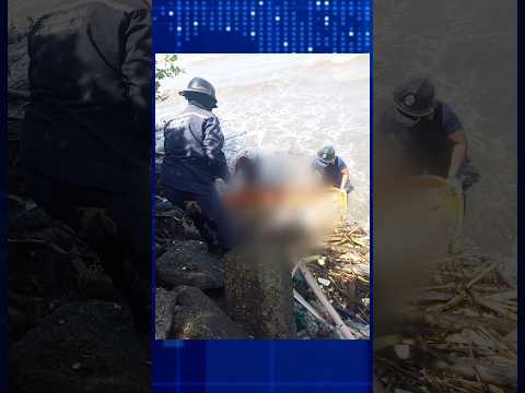 Tragedia y respuesta en Miranda