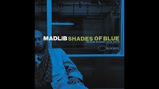 madlib slims return