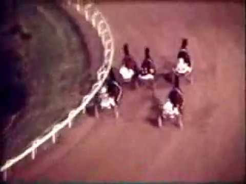 1979 Miracle Mile Winner The Scotsman