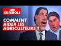 Sylvestre Face à Un Agriculteur En Colère Les Guignols CANAL