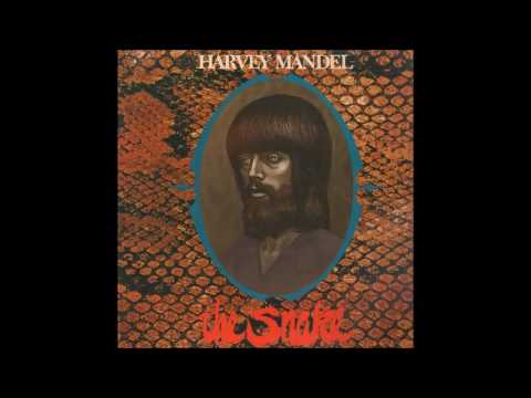 Harvey Mandel - The Snake (1972) (US Janus Records vinyl) (FULL LP)