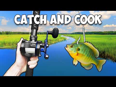 Giant Livebait Catch and Cook Challenge