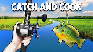 Giant Livebait Catch and Cook Challenge