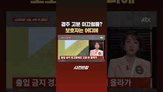 경주 고분 미끄럼틀? 보호자는 어디에 #JTBC #Shorts