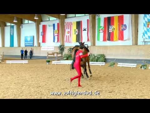 Emilia Manheller - Female 21 - DJM Voltigieren München 2018