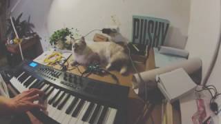 Video thumbnail for pisound & Pure Data by Blokas