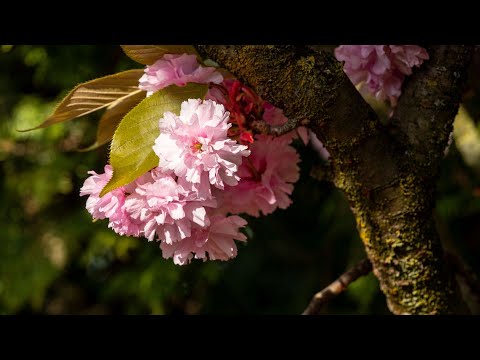 Gottesdienst 06.06.2021