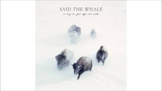 I Will Follow You - Said The Whale