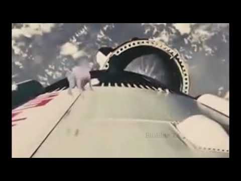 Perros y Gatos Bailando Hola Juan Carlos Remix