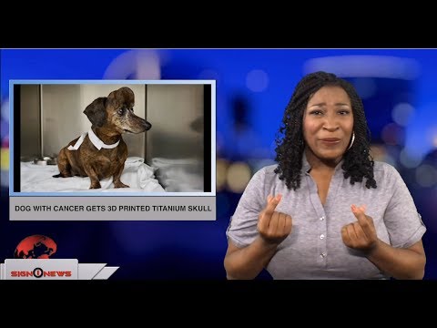 Dog with cancer gets 3D printed titanium skull (ASL - 9.26.18)