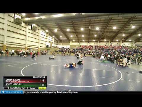 93 Lbs Quarterfinal - Quinn Salois, North Montana Wrestling Club Vs Rowe Mitchell, Utah 5f32