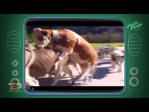 Fiks Fare, 4 Shkurt 2016, Pjesa 3 - Investigative Satirical Show