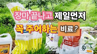 장마가 끝나면 제일 먼저 줘야 하는 비료