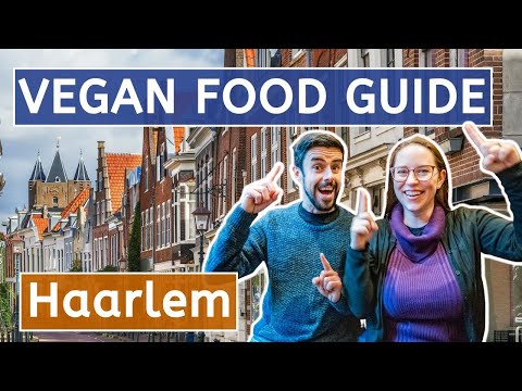 BEST Vegan Food in Haarlem - A Day Trip From Amsterdam