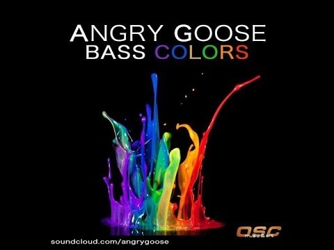 ANGRY GOOSE - 'Bass Colors' | video by Witold Kush for OSC Music & Art