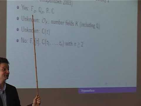 Hypersurfaces (Y.  Tschinkel)