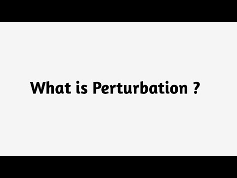 What is Perturbation ?