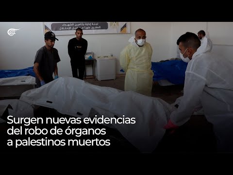 Surgen nuevas evidencias del robo de órganos a prisioneros palestinos muertos