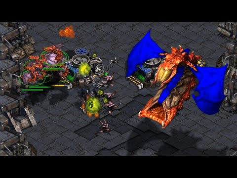 FEAR THESE MUTAS. | CNSL 7