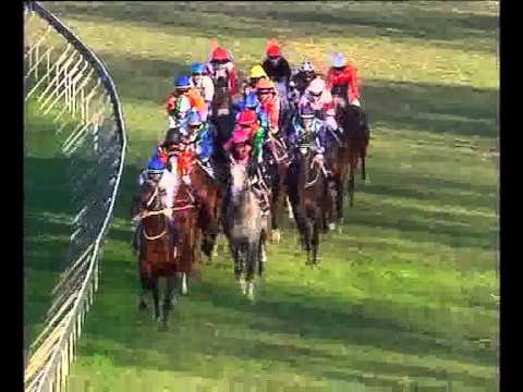 Dunford | 2005 VDJ
