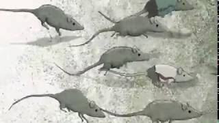 Syd Barrett - Rats (Legendado)