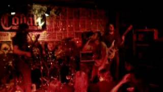 Abriosis (They Came Like Wolves) Live Cobalt