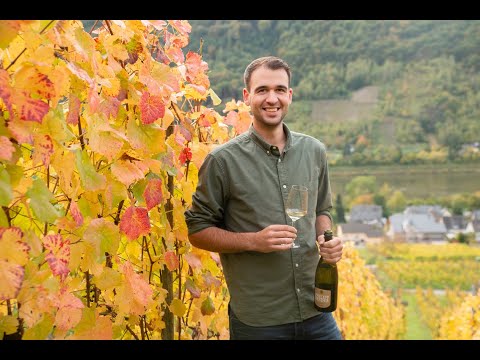 Sekthaus Philipp Bender - Herbst