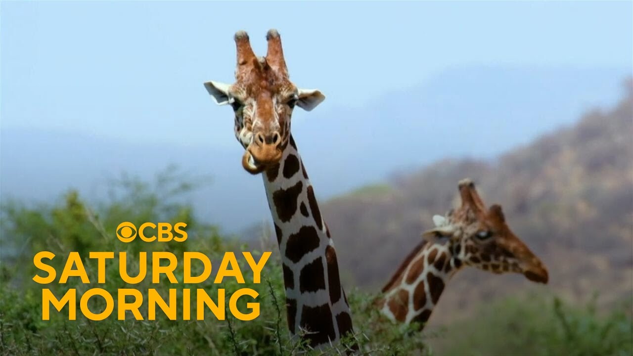 The best places to travel in 2026