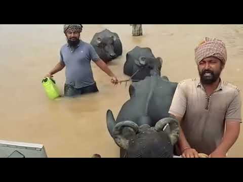 We Are Not Fukre