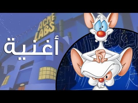 "أغنية البداية" - بينكي وبرين