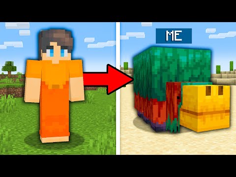 I Pranked My Friend with MORPH MOD in Minecraft