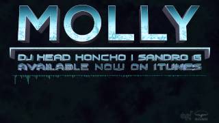 DJ HEAD HONCHO ft. SANDRO G - MOLLY
