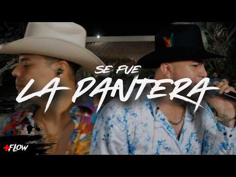 👉 Se Fue La Pantera (En Vivo) - Grupo Firme x Grupo Recluta | Letra Completa
