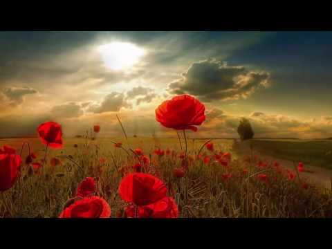 3 HOURS Best Relaxing Music -Background Music Instrumentals "Romantic Piano" Background Music