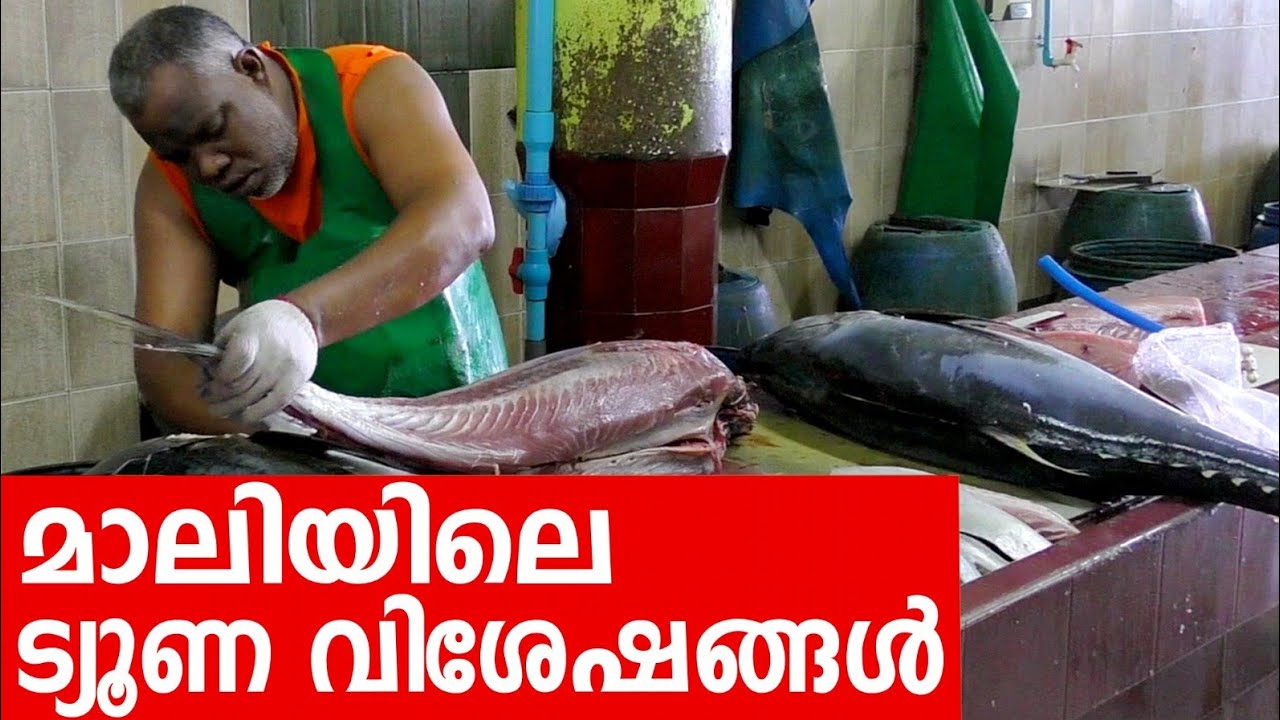 Sancharam | Maldives II -05 | Santhosh George Kulangara | Safari TV