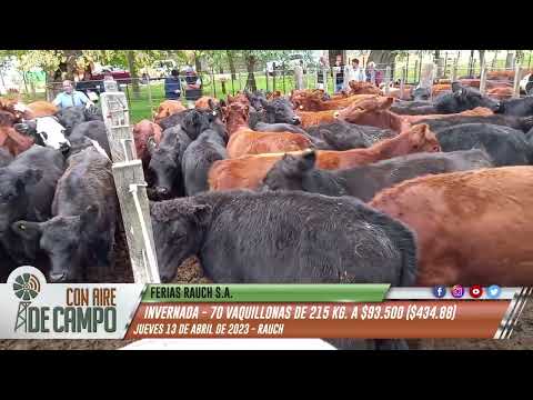 Resumen del Remate de Ferias Rauch - jueves 13 de abril de 2023 - Rauch