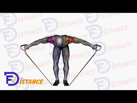 Élévations latérales pour les deltoïdes postérieurs (à l'élastique) - Exercice Élévations latérales pour les deltoïdes postérieurs (à l'élastique) en vidéo